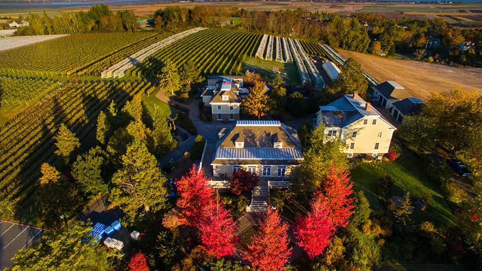 Domaine Grand Pré Winery Overhead View