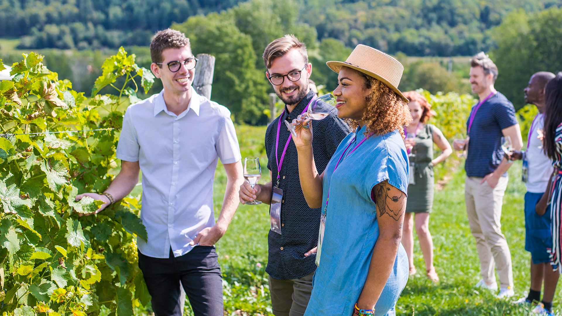 Grape Escapes Nova Scotia Wine Tours