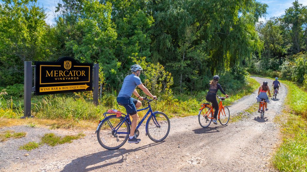 Mercator Vineyards cyclists
