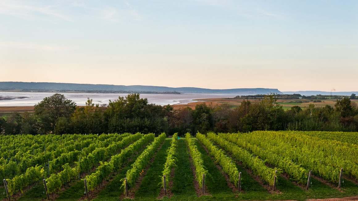 Nova Scotia Bay of Fundy