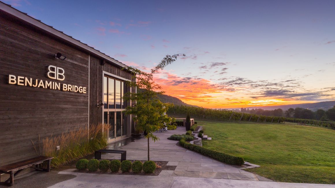 Benjamin Bridge Vineyards