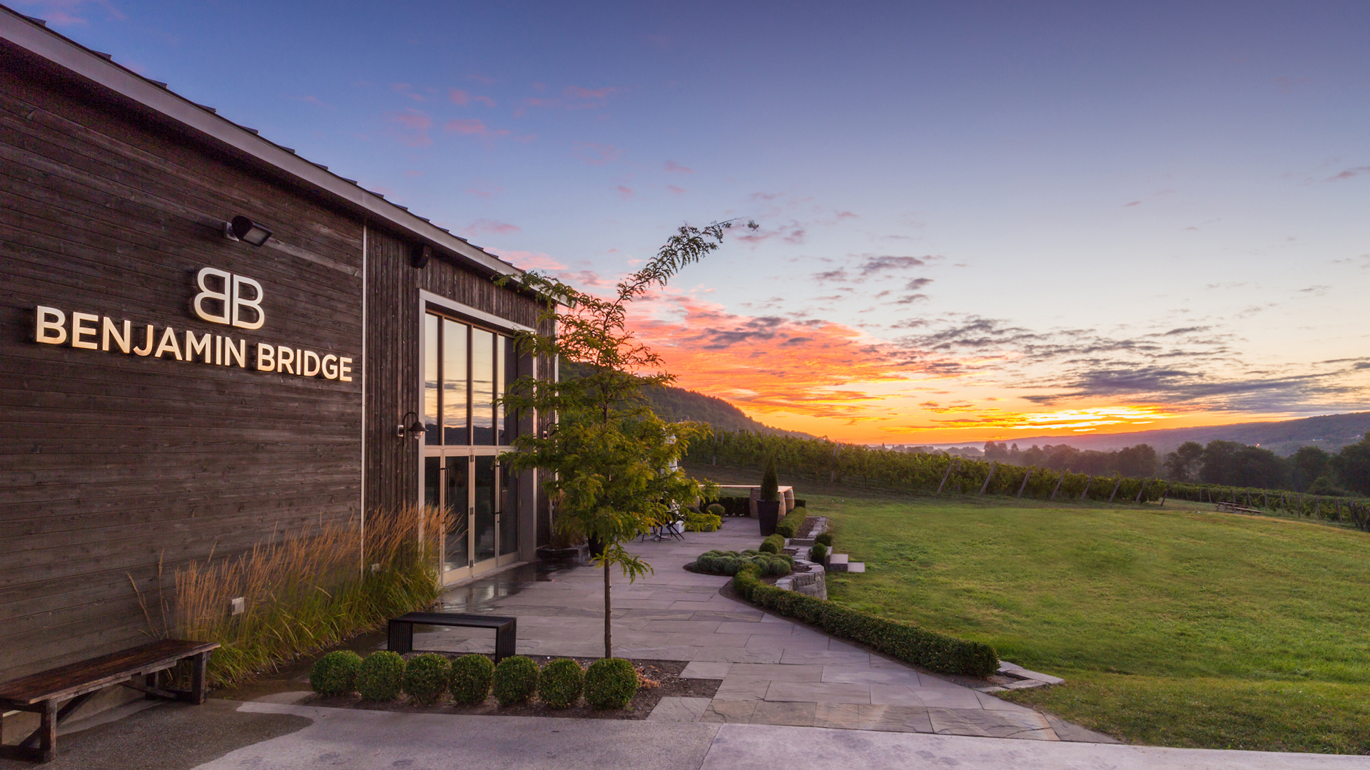 Benjamin Bridge Vineyards