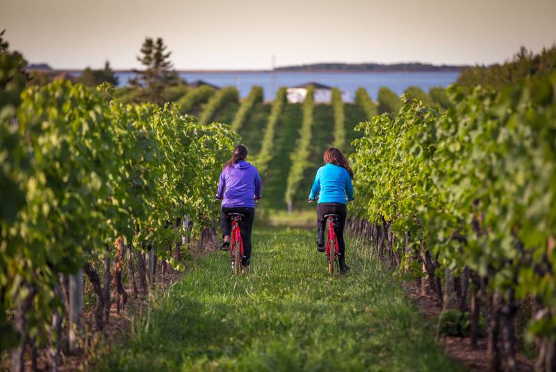 Jost Vineyards