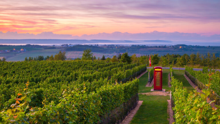 Luckett Vineyards 01 768x432